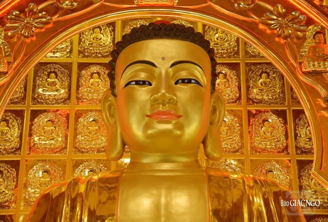 [Ảnh] Chiêm ngưỡng tôn tượng Đức Phật Bổn Sư tại Việt Nam Quốc Tự ảnh 24