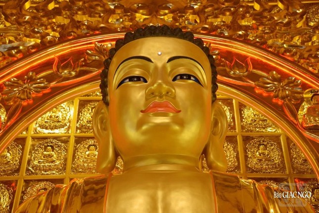 [Ảnh] Chiêm ngưỡng tôn tượng Đức Phật Bổn Sư tại Việt Nam Quốc Tự ảnh 3