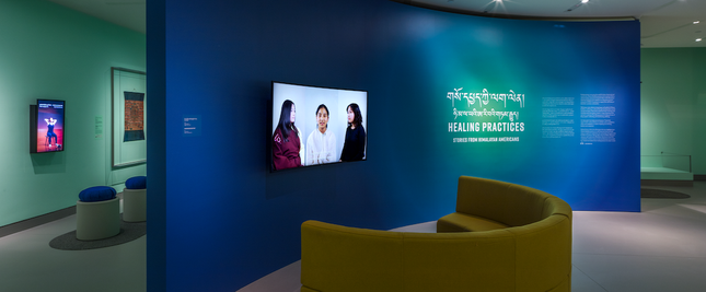 Triển lãm “Thực tập chữa lành” tại Viện Bảo tàng Rubin ảnh 1