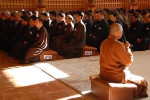 uchau 10.jpg