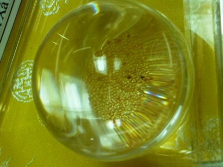 Khánh Hòa: Chiêm bái xá lợi Phật tại Ni viện Diệu Quang ảnh 3