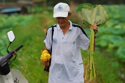 Sáng sớm thức dậy mua sen Hà Thành ảnh 6