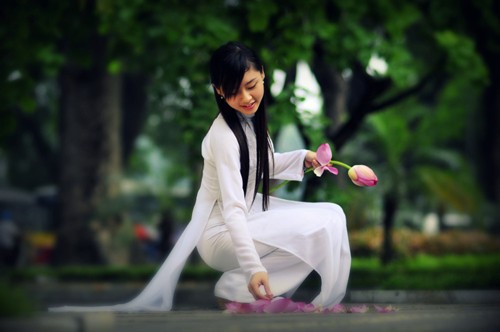 Sáng sớm thức dậy mua sen Hà Thành ảnh 2