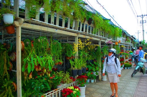 Rực rỡ những phố hoa tại Sài Gòn ảnh 6