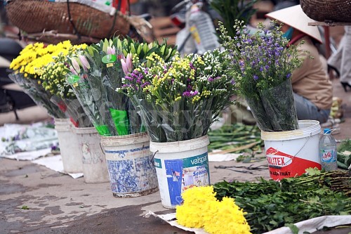 Tấp nập chợ hoa ngày Tết ảnh 4