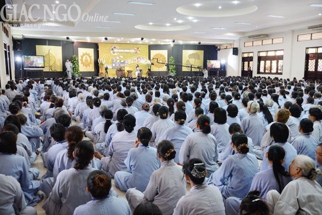 Viet Trinh 2.jpg