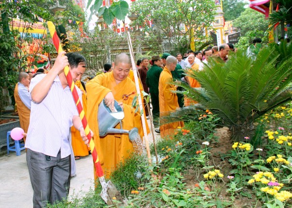 1 nghe an 8.jpg
