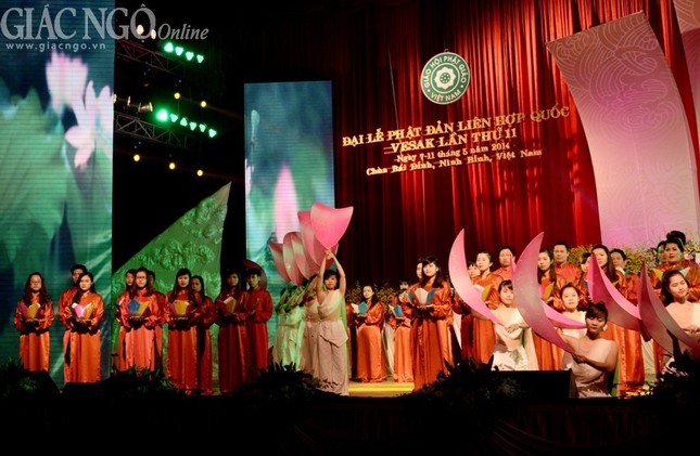 BTN_0206.jpg