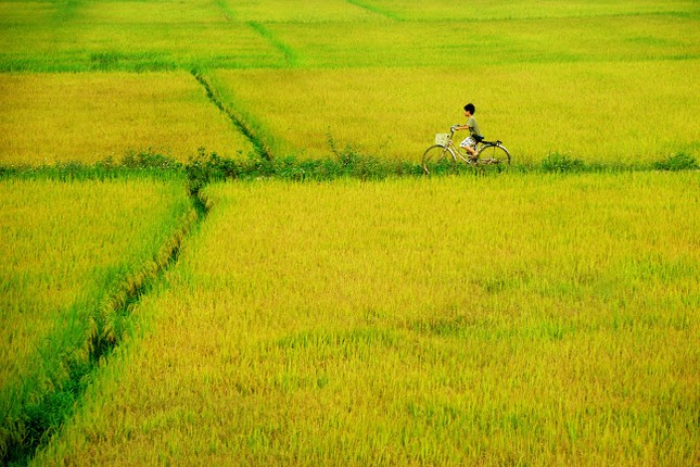 huong nep.jpg