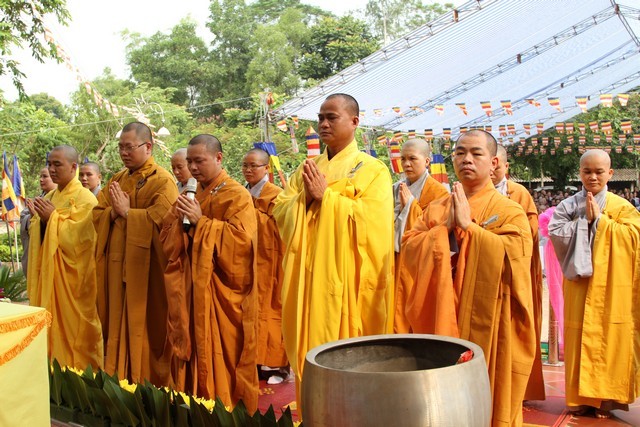 tquang 2.jpg