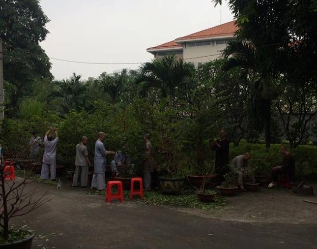 anh vuonthien.jpg