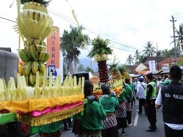 Chùm ảnh: Trang nghiêm rước Phật tại Indonesia ảnh 9