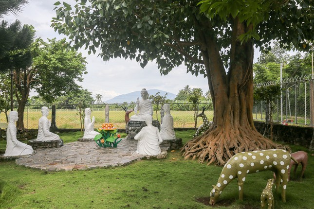 Ngôi chùa có cổng hình cây tre