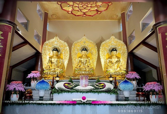 cuong 4.jpg