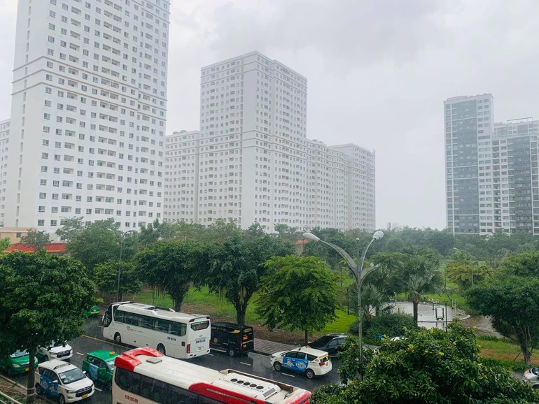 Sài Gòn chiều nay mưa rồi. Những chiếc xe không còn hối hả, những tán cây xôn xao đón giọt mưa rào