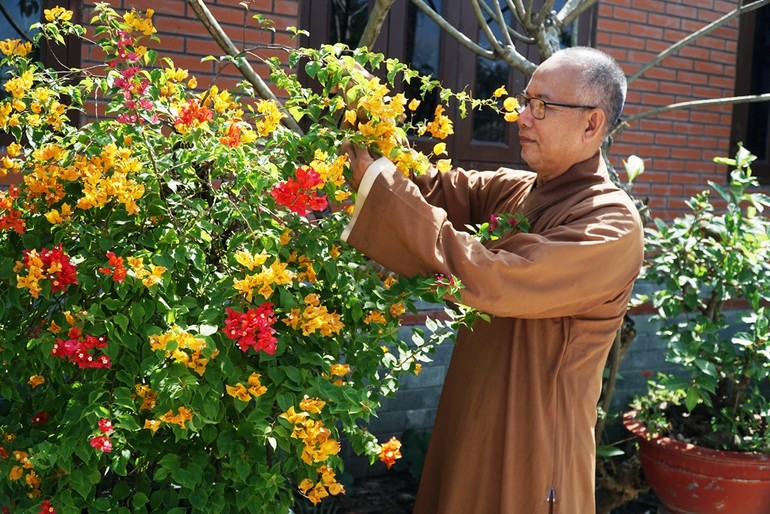 Hòa thượng Thích Tịnh Quang chăm sóc cây cảnh cho ngôi chùa mới xây ở H.Củ Chi, TP.HCM