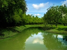 Khung cảnh nhà vườn Long Thuận - Ảnh: website sihoang-art.com