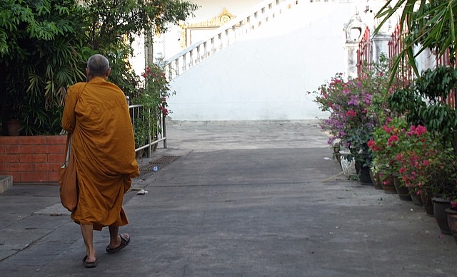 Nhà sư Phật giáo với các hoạt động vì cộng đồng