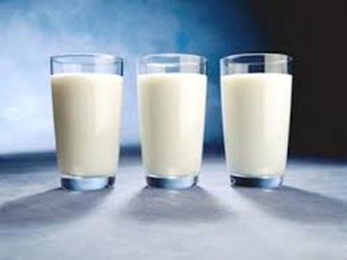 Nghiên cứu phát hiện mới từ sữa - Ảnh: Internet