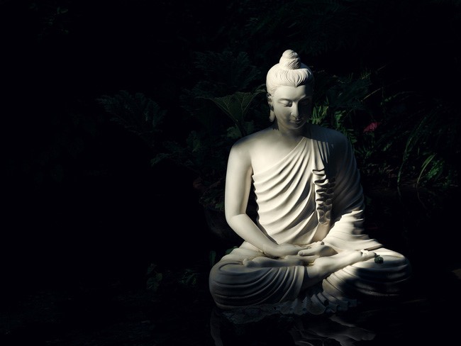 Hình nền phật pháp: Hình nền với nhiều lời dạy của Đức Phật sẽ mang đến cho bạn những sắc thái triết lý độc đáo nhất. Với những lời dạy sâu sắc của Ngài, bạn sẽ cảm nhận được sự ngẫu hứng và độc đáo trong tư tưởng của mình.